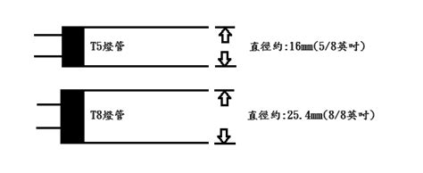 東在哪邊|東